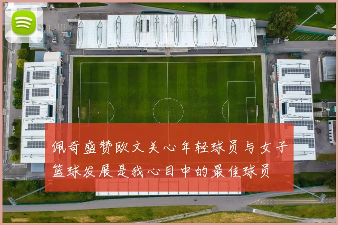 佩奇盛赞欧文关心年轻球员与女子篮球发展是我心目中的最佳球员