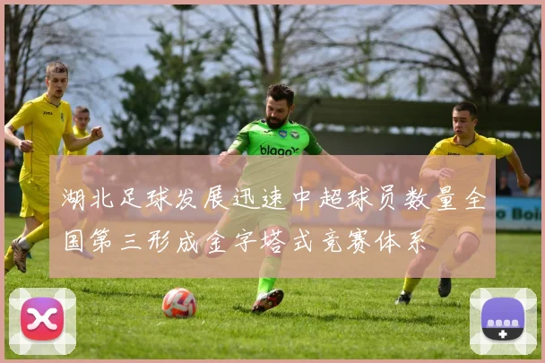 湖北足球发展迅速中超球员数量全国第三形成金字塔式竞赛体系
