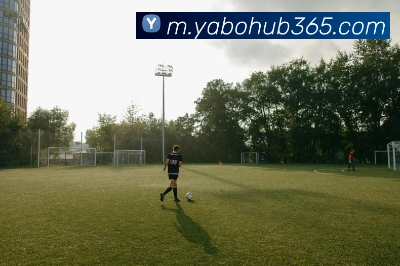 亚博体育发展历程